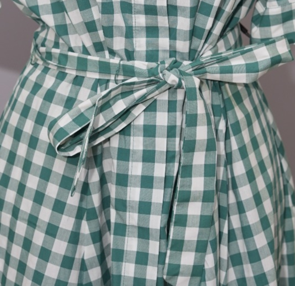Picnic Green flare dress